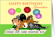 Happy Birthday Grandma, Crazy cat lady starter kit, cats, humor. card