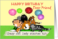 Happy Birthday Dear Friend,Crazy cat lady, humor. card