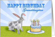Happy Birthday ,For Granddaughter, rabbit and cake. For son. card