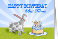 Happy Birthday ,For Best Friend, rabbit and cake. For son. card