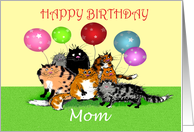 Happy Birthday Mom, from son,Crazy cats and balloons. card
