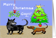 Merry Christmas ,Guys, dogs sniffing bottoms, risque.adult humor. card