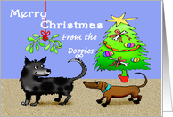 Merry Christmas ,from the dogs, dogs sniffing bottoms,adult humor. card