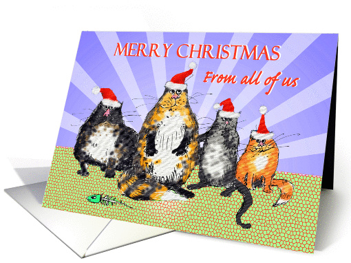 Merry Christmas from all of us, cats with Christmas hats., humor. card