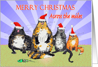 Merry Christmas across the miles, cats with Christmas hats., humor. card