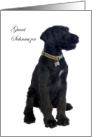 Giant Schnauzer, black dog, blank card. card