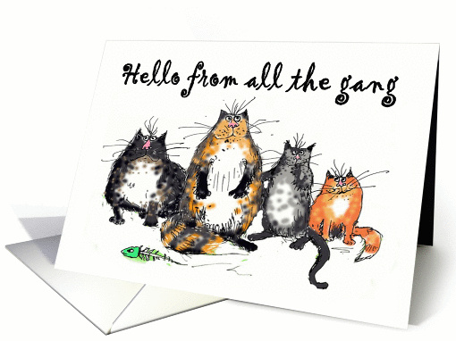 Hello from all the gang, four crazy cats.humor, funny. card (1322176)