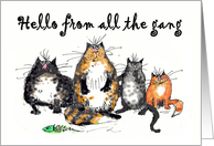 Hello from all the gang, four crazy cats.humor, funny. card