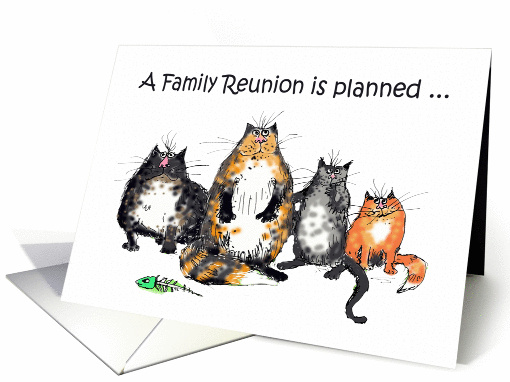 A family reunion is planned, four crazy cats.humor,. card (1322186)