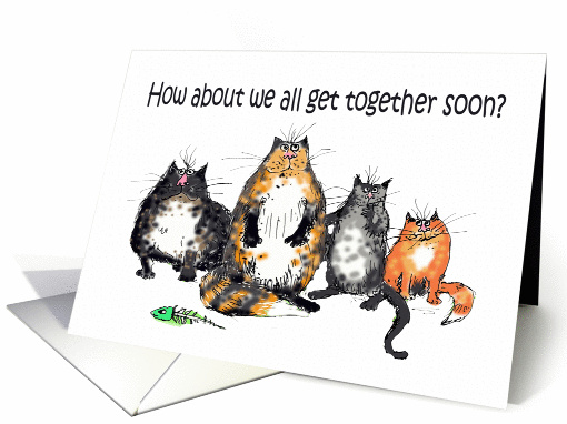 Get together, four crazy cats.humor,. card (1322188)