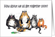 Get together, four crazy cats.humor,. card