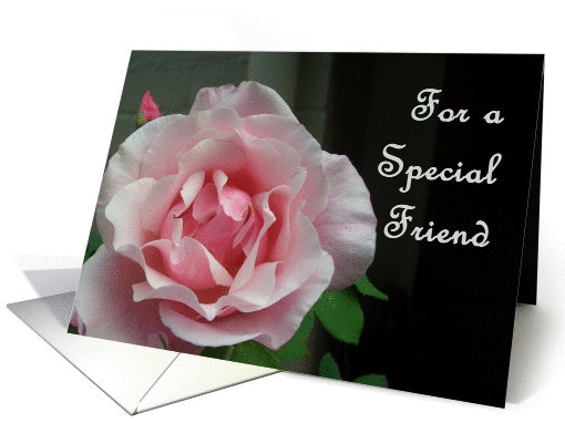 Pink rose for special friend. card (1338062)