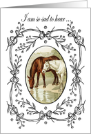 Loss of horse, two Vintage horses.Black and white Victorian frame. card