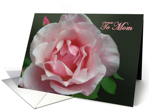 To Mom, I miss you,Pink Full Blown Rose and Bud with Green Leaf card