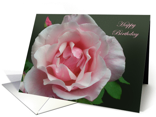 Happy Birthday,Pink Full Blown Rose and Bud with Green Leaf card