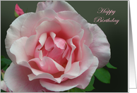 Happy Birthday,Pink Full Blown Rose and Bud with Green Leaf card