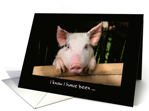 Apology, pink pig, will you forgive me? Humor. card (1373658)