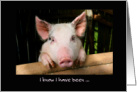 Apology, pink pig, will you forgive me? Humor. card