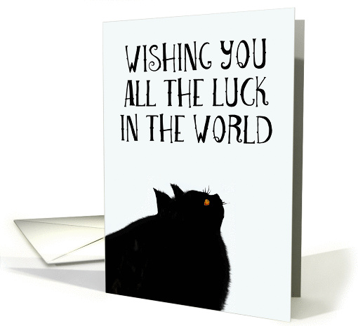 Wishing you luck, lucky black cat card (1402452)