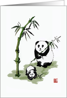 Panda bear with baby, eating bamboo. Blank note card. card