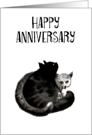 Happy Anniversary, two fluffy cats card