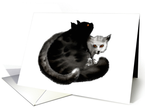 Black and grey fluffy cats cuddling card (1406026)