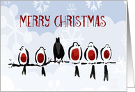 Merry Christmas, Robins on branch.snowflakes card