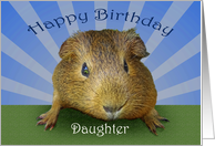 Happy Birthday, guinea pig, for daughter card