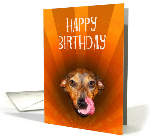 Happy birthday, licking dog.humor card (1418916)