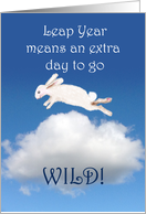 Happy leap year Birthday, bunny rabbit go wild.cartoon card