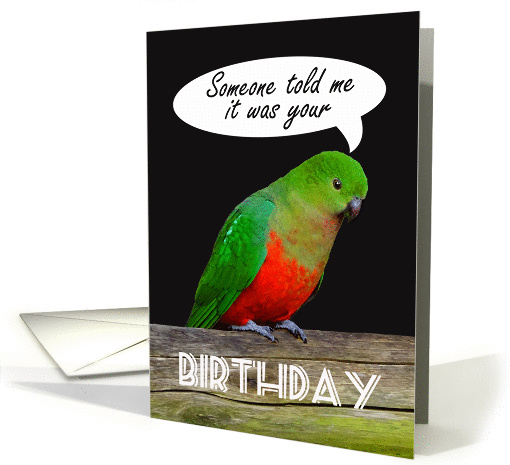 Happy Birthday, King Parrot, someone told me. humor card (1421752)