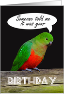 Happy Birthday, King Parrot, someone told me. humor card