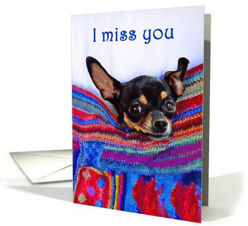 I miss you,Chihuahua dog, humor, card (1421954)