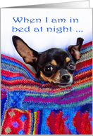 Think of you,Chihuahua dog,When I am in bed at night humor, card