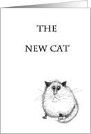 The new cat Fat Cat congratulations new pet card