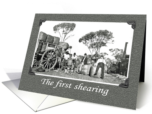 The first shearing,vintage, pioneer settlers in Australia card