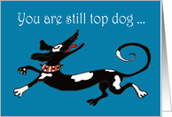 Happy Fathers Day, you are still Top Dog, humor card