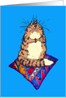 Cat on cushion , humour card