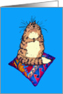 Cat on cushion , humour card
