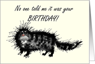 Late Birthday, angry cat, humour card