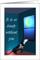 Missing you, it is lonely without you, Black and white dog, humour card
