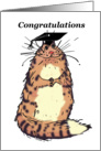 Congratulations on your graduation,from college, tortoiseshell cat, humour card
