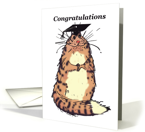 Congratulations on your graduation, tabby cat, humour card (632843)