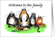 Welcome to the family, cats, humour card