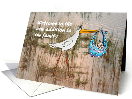 New Baby, welcome to the new addition to the family.humor card