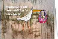 New Baby girl, welcome to the new addition to the family, humor card