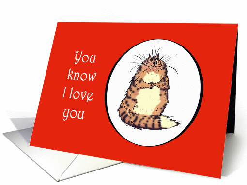 will you be my Valentine. tortoiseshell cat card (732998)
