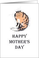 Happy mother’s day , from friend, tortoiseshell cat card