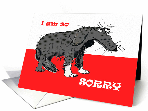I am so sorry, Humour, sad grey dog. card (804506)