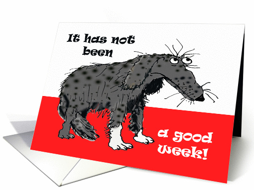 Just to say it has not been a good week! Humour, sad grey dog. card